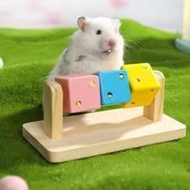 Aoozleny 3Pcs Wooden Hamster Toys - Wooden Rabbit Toys, Hamster Cage Accessories for Small Animals Playing Teeth Grinding Indoor image number 2