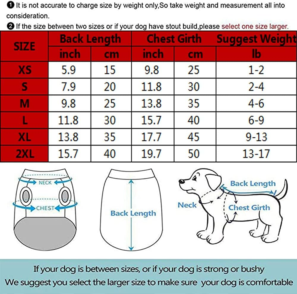 Cute Soft Dog Costume Flannel Dog Coat Picachu Lovely Warm Dog Clothes for Winter image number 2