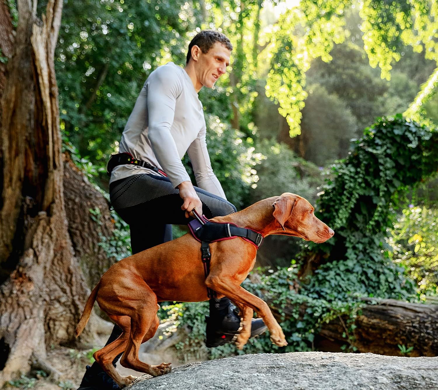 Rogz Airtech Sport Dog Harness, Sunset Pink, Medium image number 2