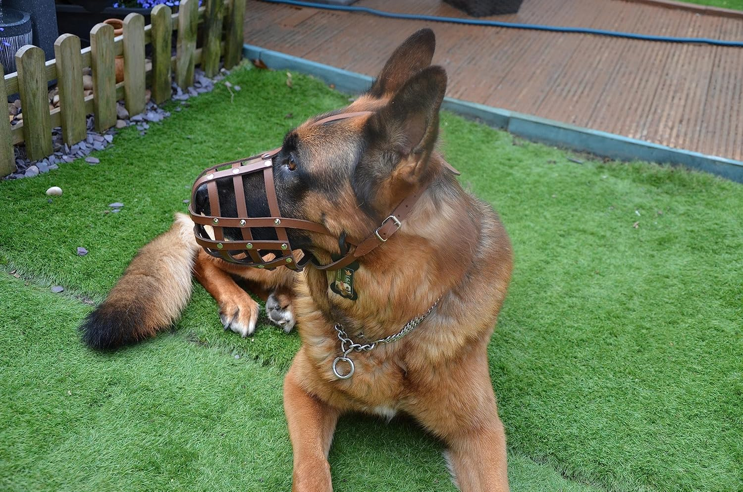 Genuine Leather Dog Muzzle for American Bully, Bully XL and Other Similar Snout (Brown Leather, AB4) image number 1