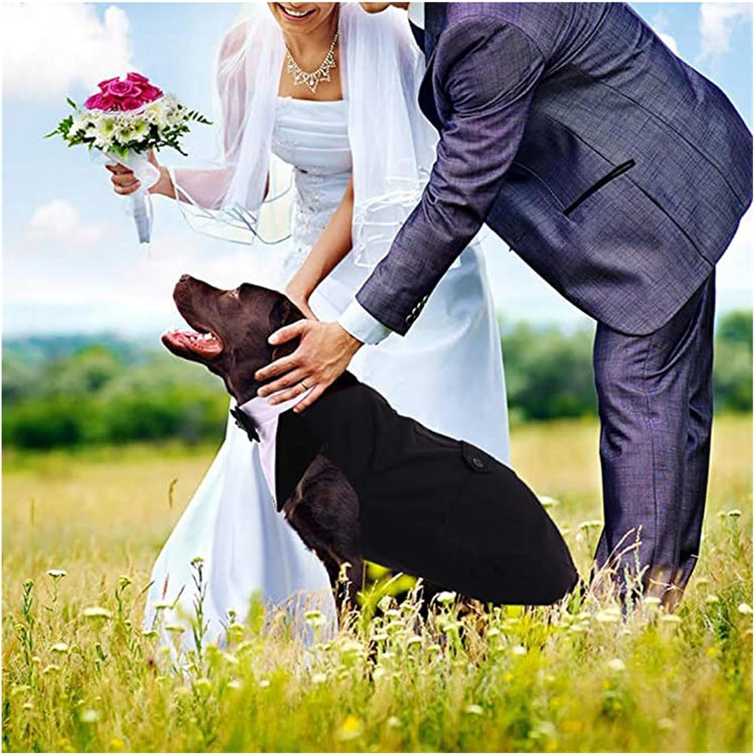 Dog Clothes Labrador Golden Retriever Suit Clothes Pug Dog Clothing Pet Costume Poodle Bulldog Dog Apparel Warm (Color : Black, Size : L) image number 1