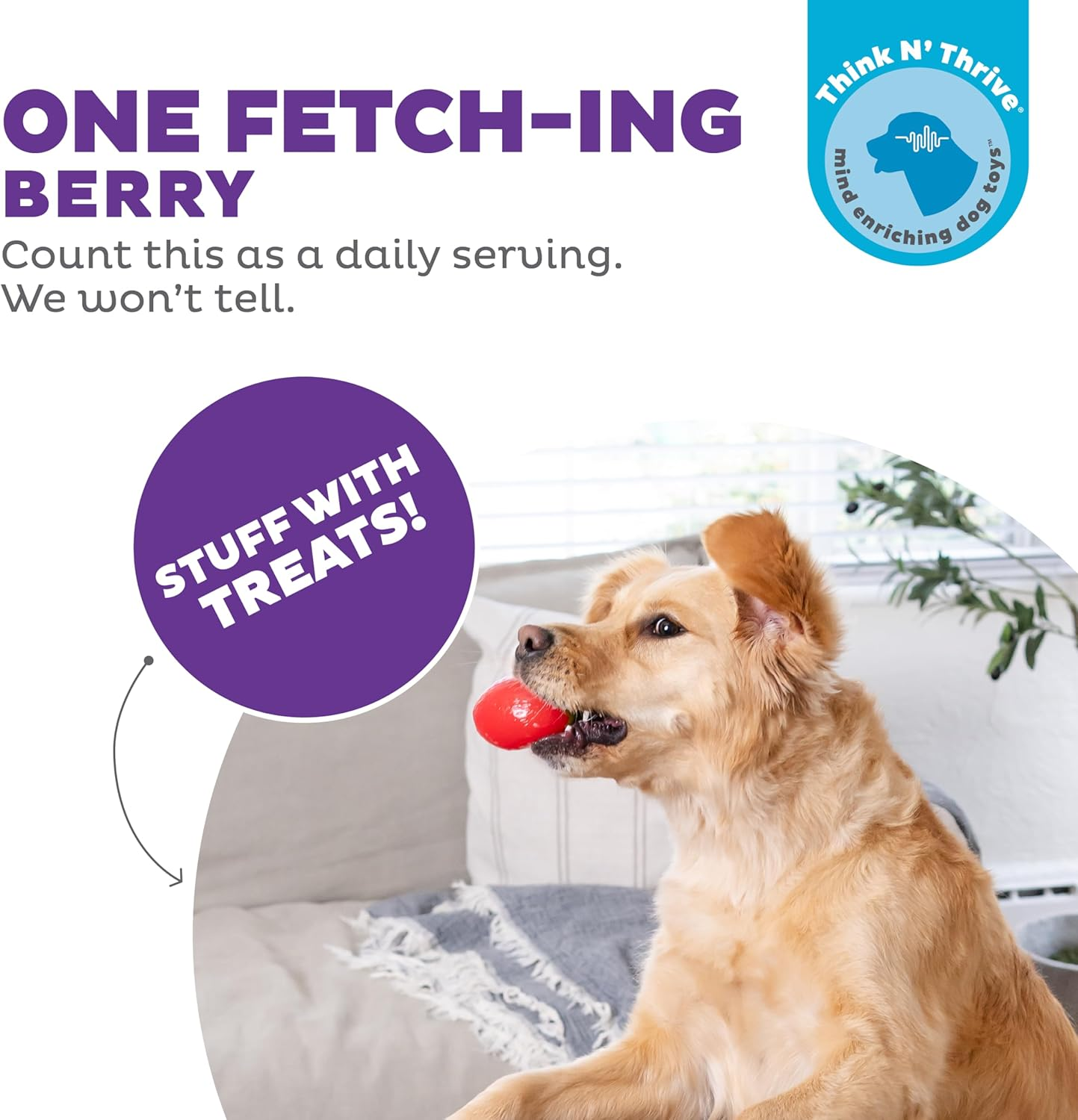 Planet Dog - Orbee-Tuff Strawberry - Foodies Chew Toy with Treat Spot for Retrieving and Training image number 4