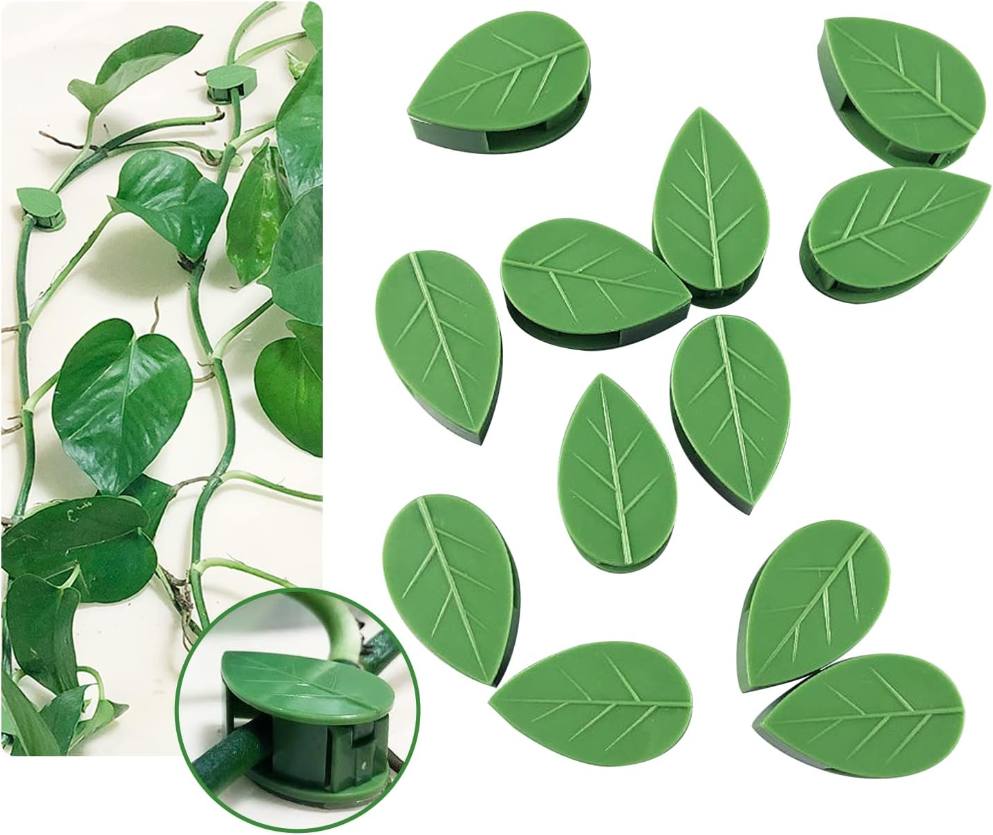 Plant Climbing Wall Fixture Clips 40 Pcs, Garden Vegetable Plant Support Binding Clip Invisible Wall Vines, Self-Adhesive Clips Plant Vine Traction for Indoor Outdoor Decoration image number 3