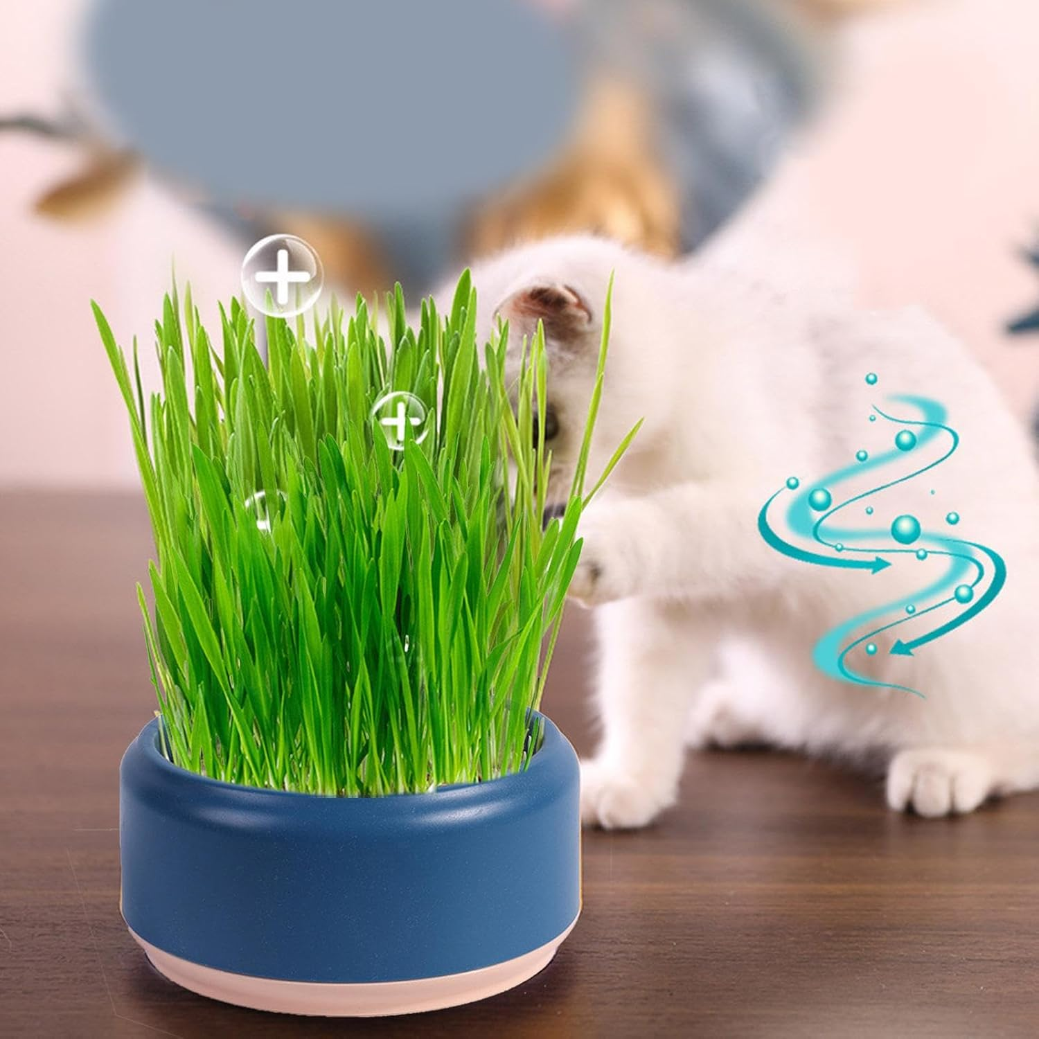 Cat Grass Growing Kit- Cat Grass Planter Tray-Organic Cat Grass Growing Kit for Indoor Cats Pet Hydroponic Cat Grass Growing Planter - Cat Grass for Indoor Cats Pet Accessories image number 3