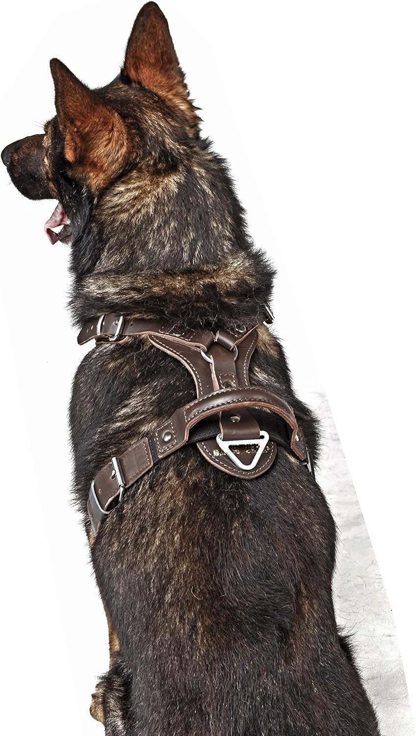 Dingo Gear Epic Dog Harness, Classic Leather with Almighty Safety System, Adjustable, Cushioned, Lined, Approved by Professionals, Size L, Brown (S05-18) image number 6