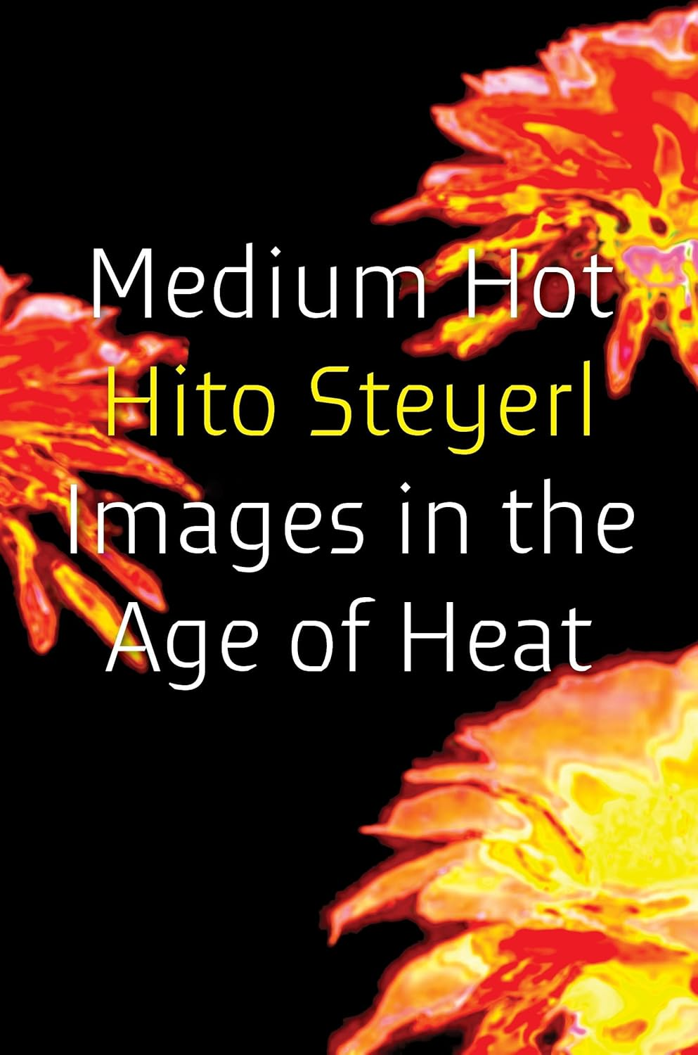 Medium Hot: Images in the Age of Heat