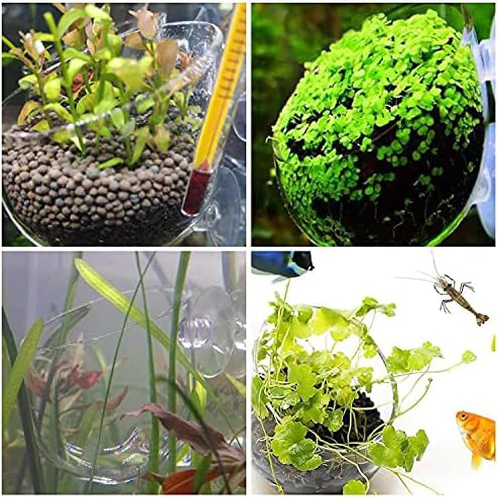 8 Pcs Plant Pot Aquarium Decor, Aquatic Cup, Magnifying Glass Shelf, Crystal Planter Holder image number 6