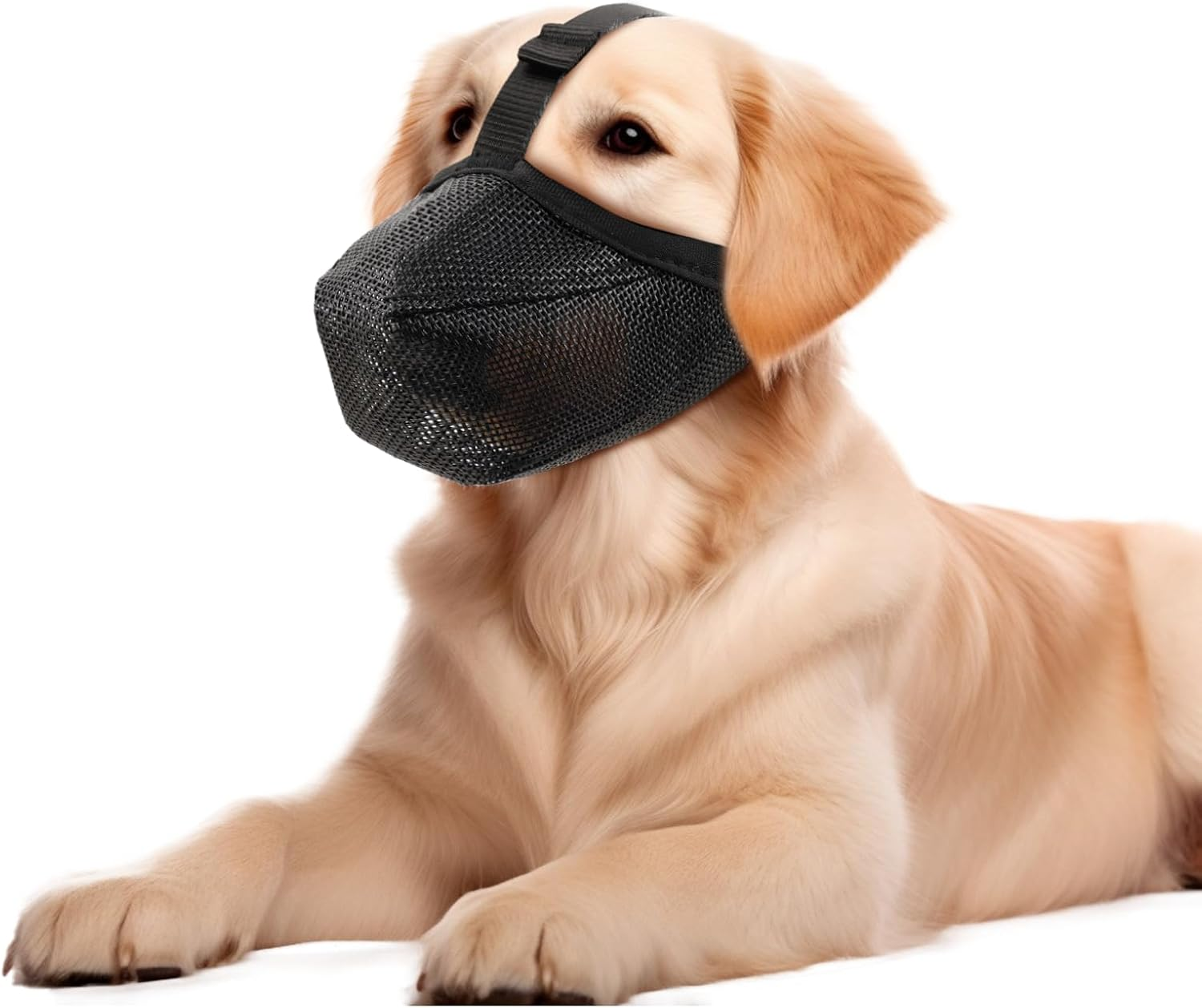 Viiotu Breathable Mesh Dog Muzzle, Adjustable anti Barking Device, Dog Mouth Cover Fits Small Medium Large Dogs, Secure Fit for Safe Breathing and Drinking image number 2