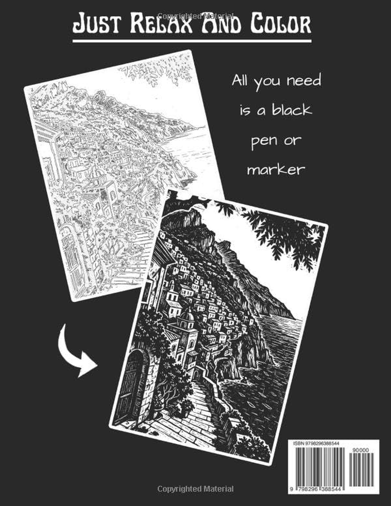 Monochrome Coloring Book: Nature, Landscape, Forest Black and White Relaxing Stress Relief Illustration for Adults, Kids and All Ages - ( Monochrome Coloring Book ) image number 1