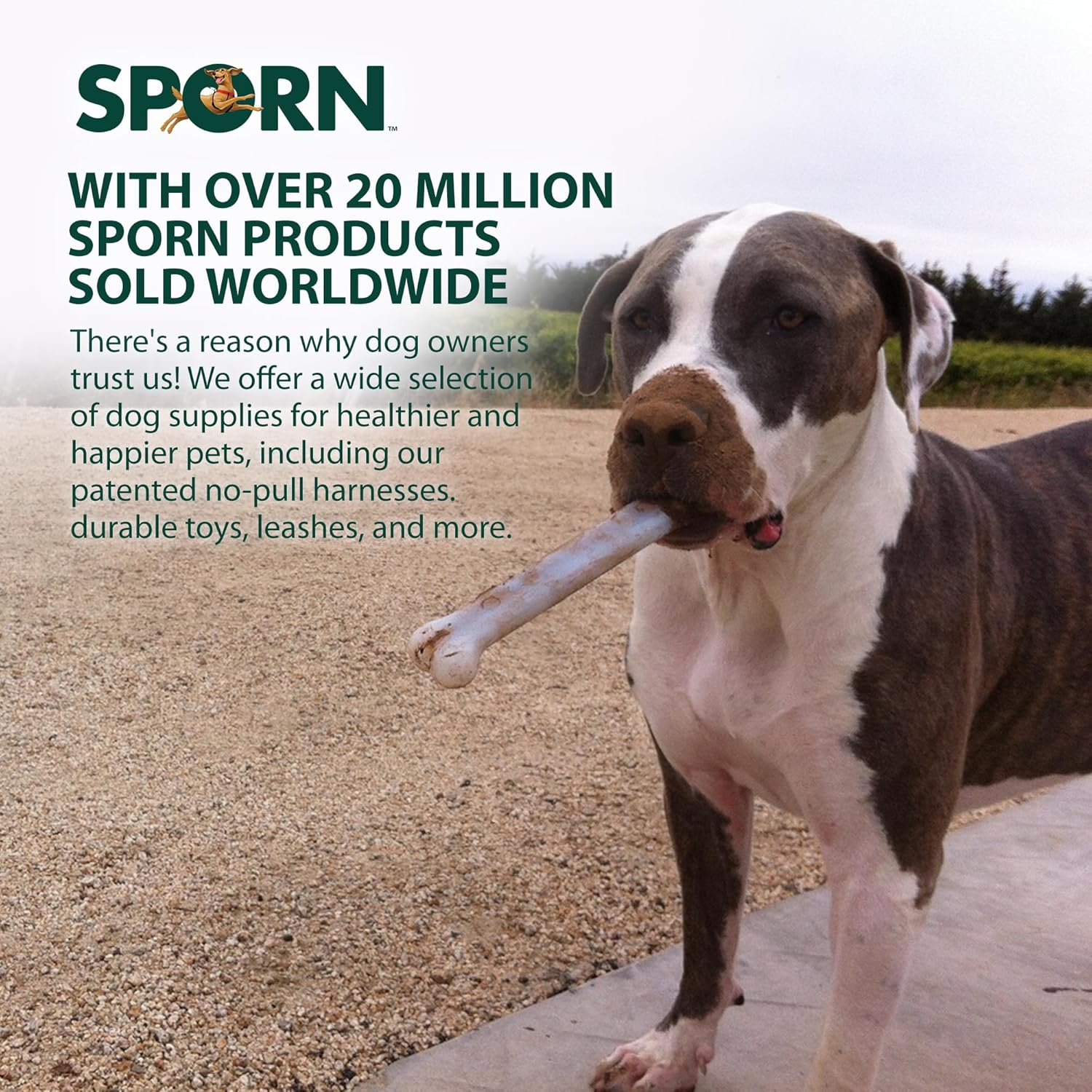 Sporn 33810 Yuppie Puppy Marrow Bone Chew Toy, Small, White image number 2