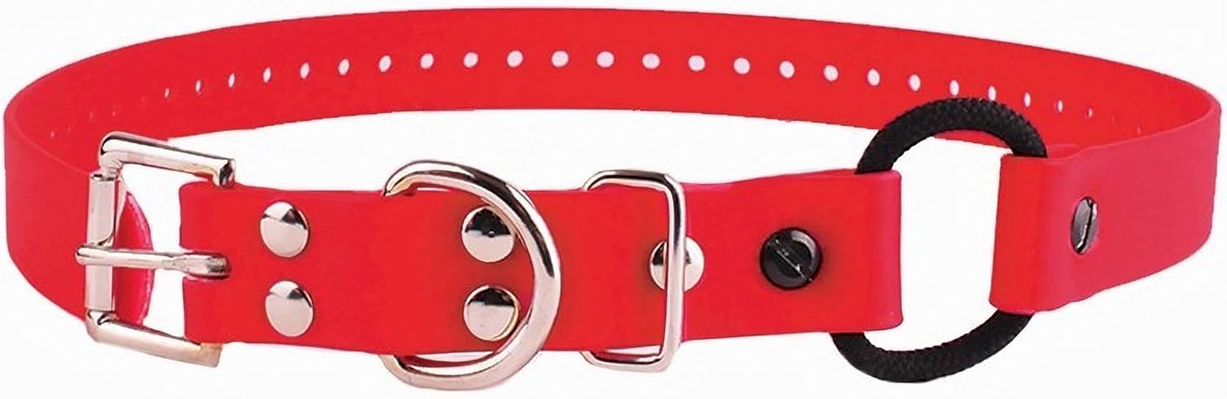 Educator Bungee Dog Collar, Biothane, Waterproof, Odorproof, Metal Buckle and D Ring with Comfort Bungee Loop Adjustable for Custom Fit, 3/4-Inch, Black