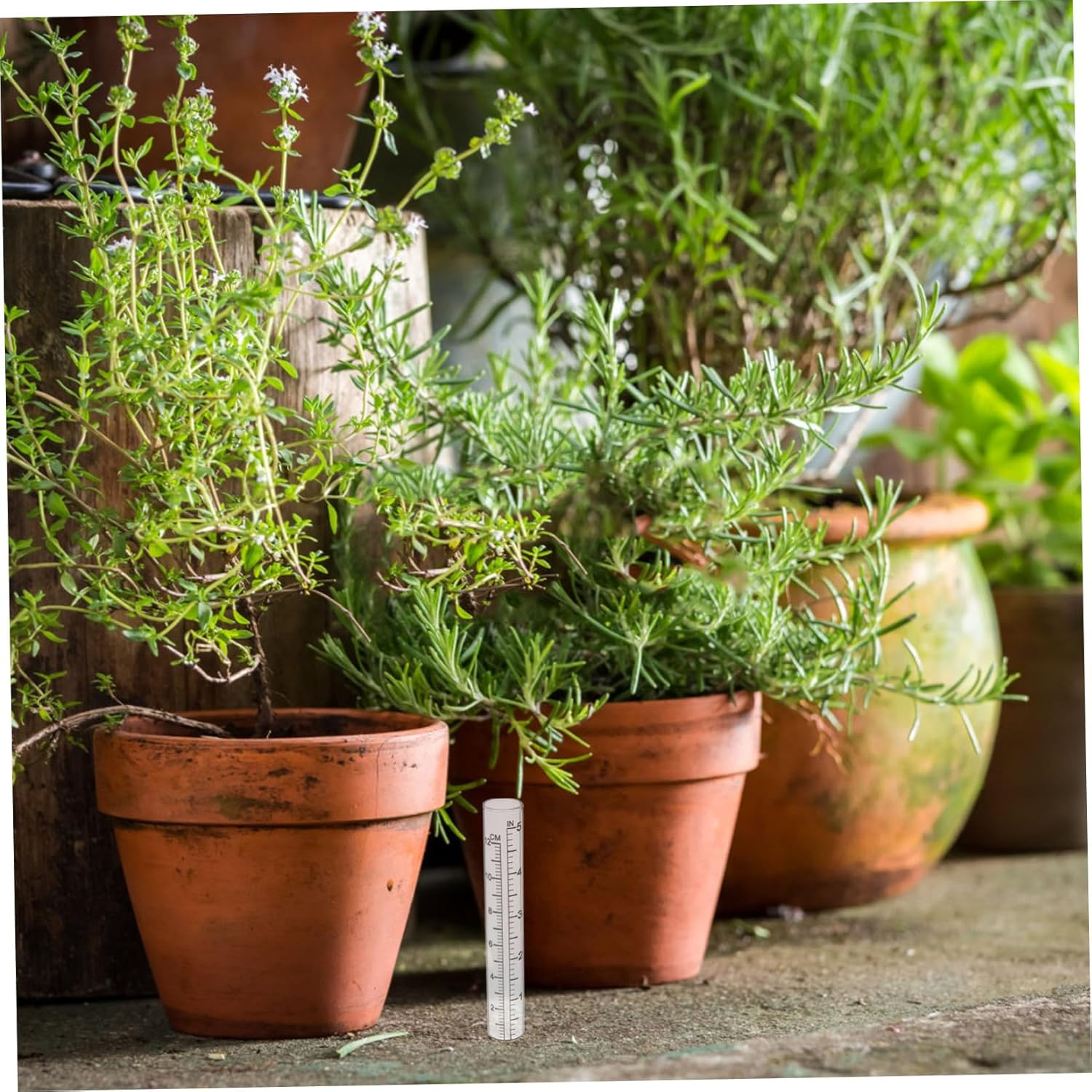 CLISPEED 2Pcs Grass Gauge Garden Water Measuring Tool Large Rain Gauge Outdoor Decorative Replacement Tube Transparent image number 3