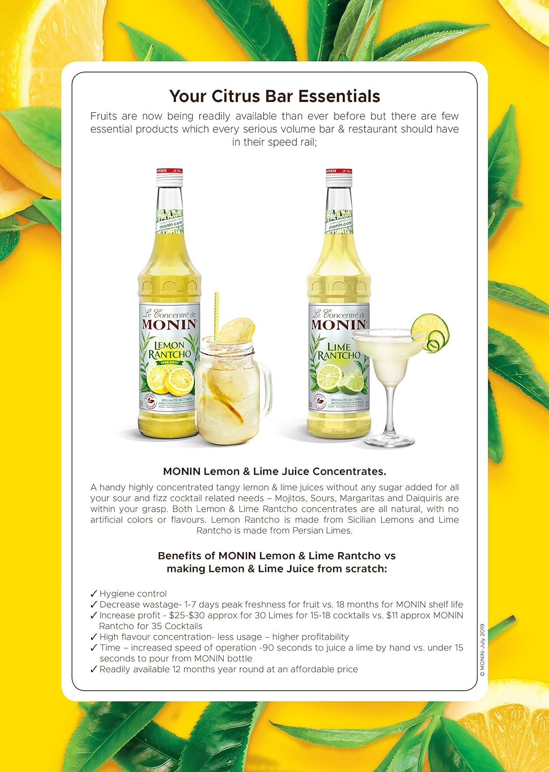 MONIN Lime Rantcho Syrup, 700 Ml image number 3