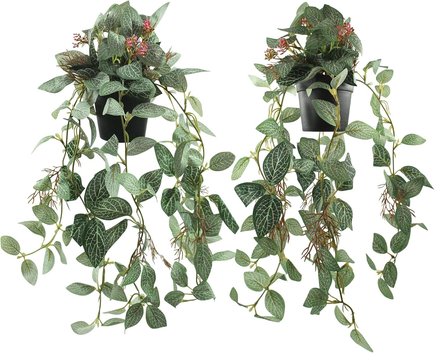 2 Pcs Artificial Hanging Plants Realistic Watermelon Texture with Flower Buds Fake Potting Leaves Faux Peperomia Vine Green Plants for Indoor Outdoor Home Garden Decor