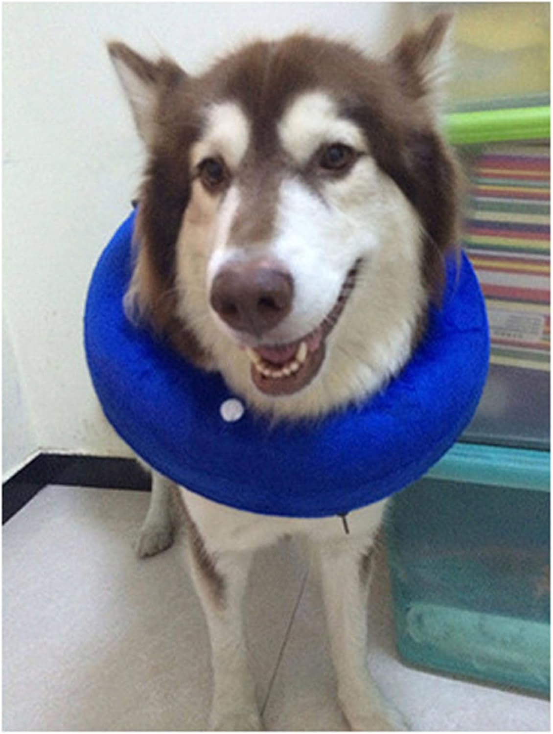 Dog Cone Collar, PVC Soft Keep Warm Dog Cone Collar Protective Recovery Dog Collar, Inflatable Dog Neck Collar Pet Cones for Small Medium Large Dogs after Surgery(Blue M) image number 5