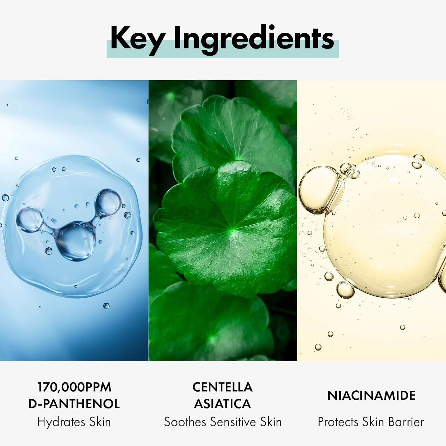 TOSOWOONG Dexpanthenol Cream, 170,000Ppm B5 Panthenol, Madecassoside, Centella Asiatica for Skin Barrier Repair, Facial Moisturizer, Soothing, Hydrating, Korean Skincare, 60Ml, 2.02 Fl. Oz. image number 2