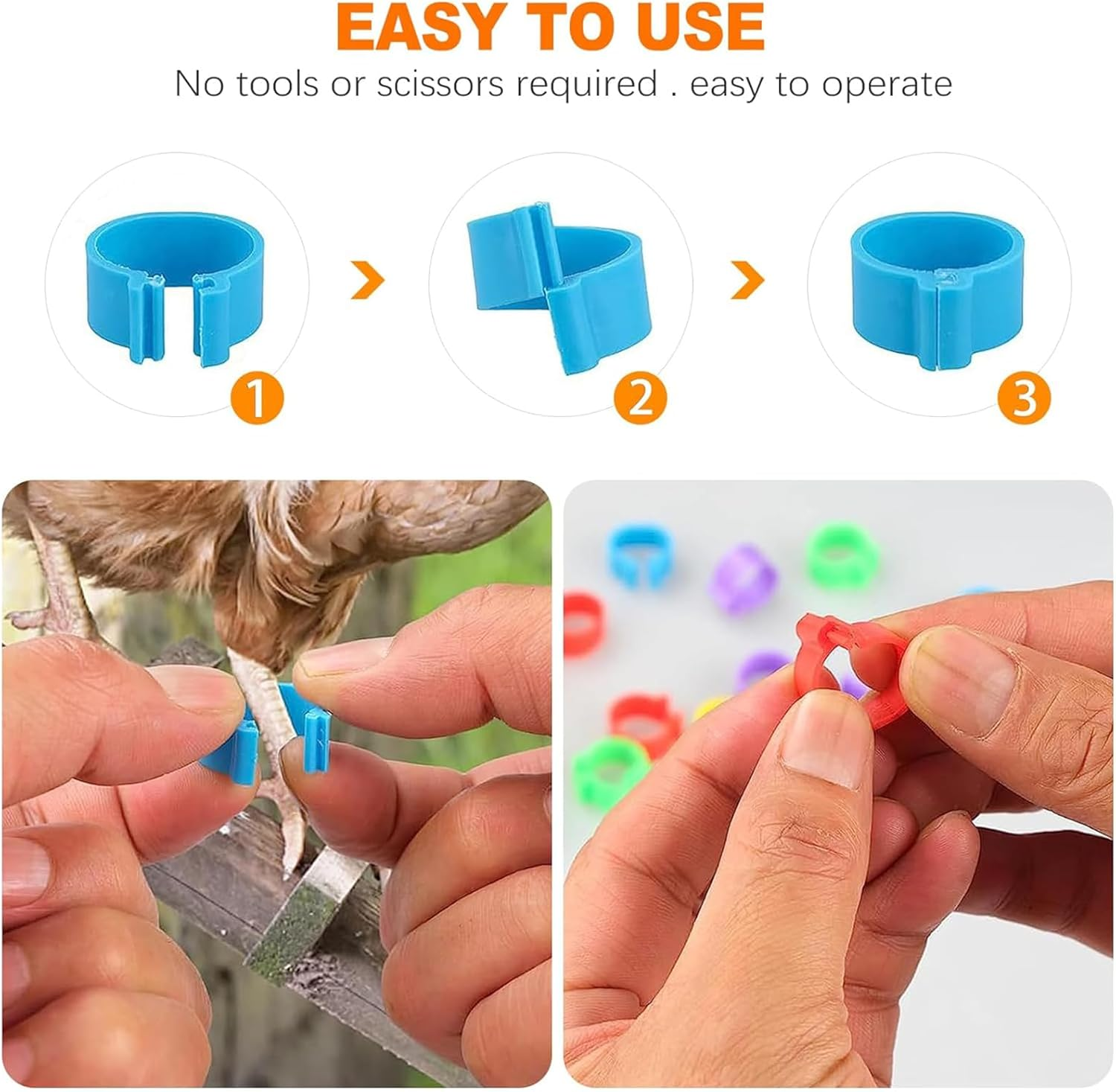 Zalizr 100 Pcs Chicken Leg Bands, 20Mm Colorful Numbered Poultry Identification Tags, Durable Plastic Leg Bands for Chickens, Ducks, Geese, Turkeys, and Gamefowl image number 5