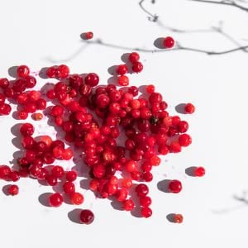 Organic Wild Cranberry Super Powder, 100% Wild Grown, Organic, Freeze Dried, No Added Sugar, No Additives image number 4