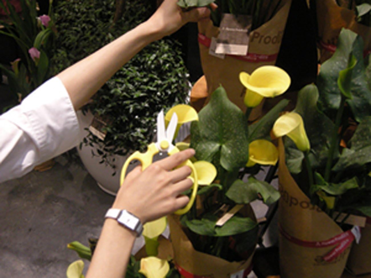 Flower Scissors Hand Creation F-170 Limited Color Yellow - Orange image number 2