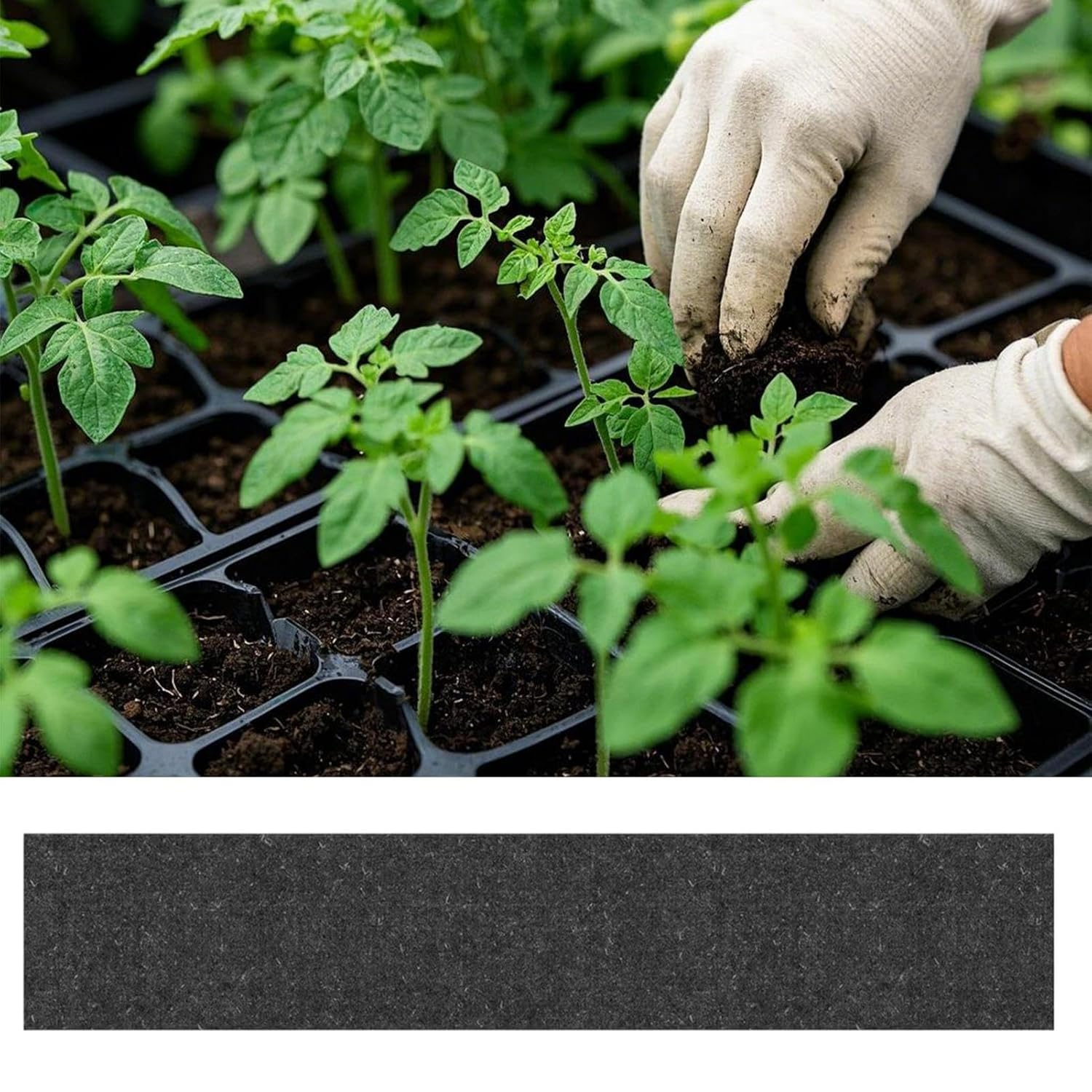 Capillary Matting for Plants - 8X Growing Mats, Absorbent Water Retention Layer, Durable Plant Propagation Sheet, Eco-Friendly Gardening Material | Efficient Greenhouse Seeding Starting Lawn