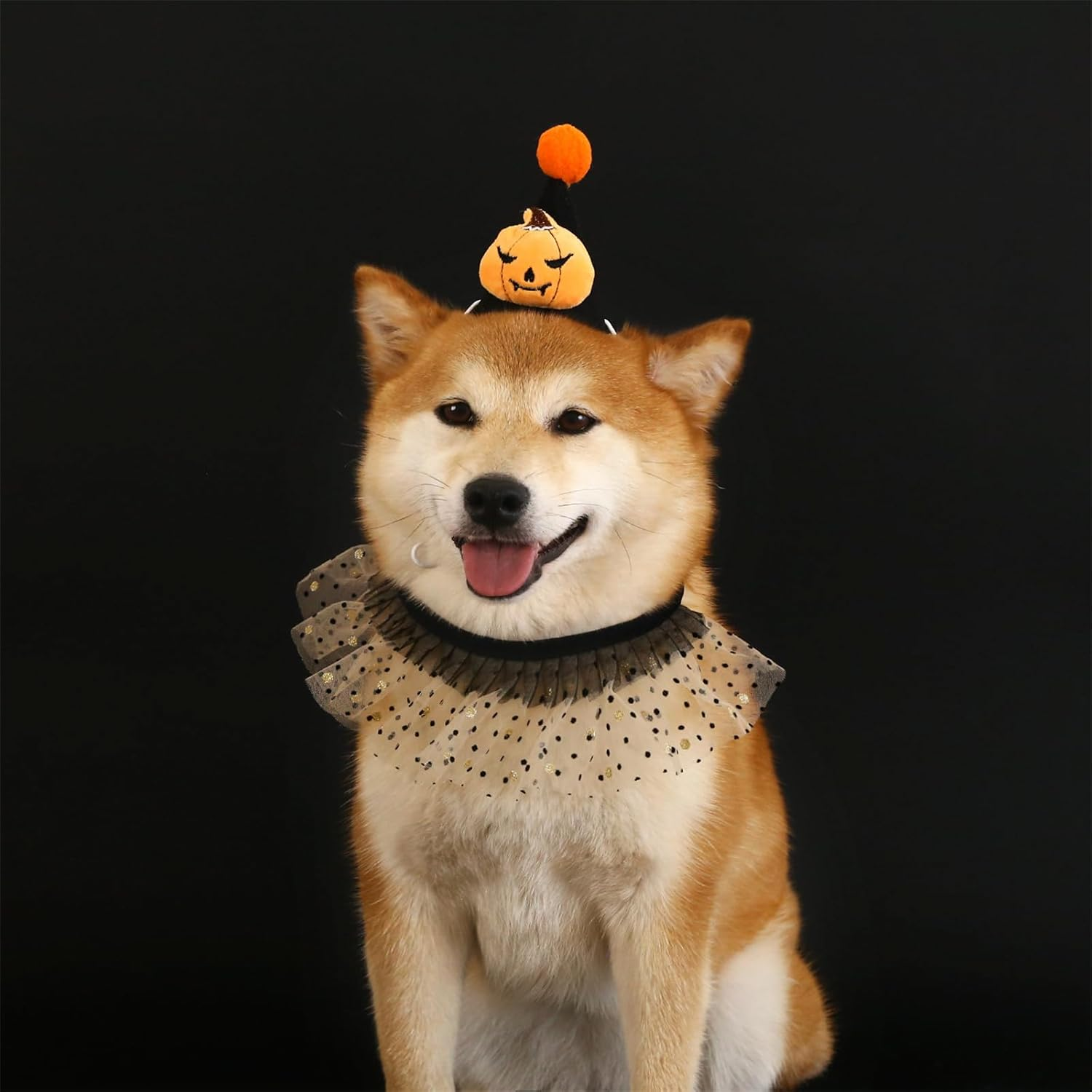 LERTREE Halloween Dog Lace Bandana and Hat Set, Puppy Cat Pumpkin Hat Polka Dot Tutu Neck Ornament Pet Neckerchief Scarf