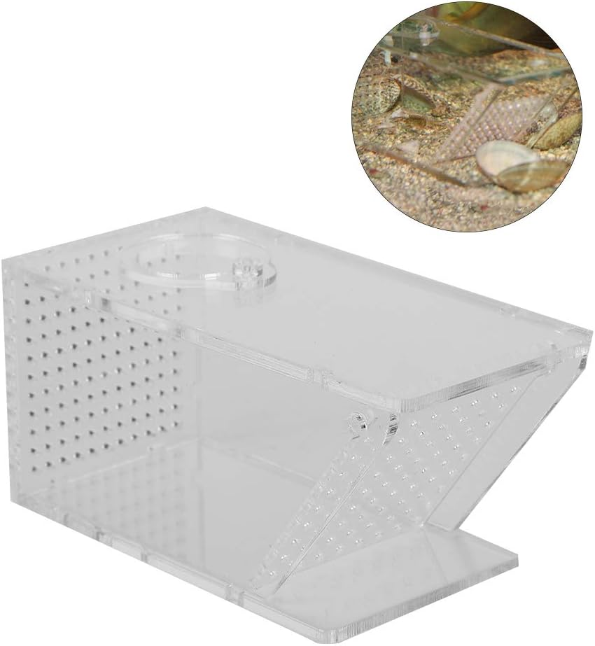 Crab Fish Trap, Crab Trap Catcher Box Fish Tank Mini Freshwater Catcher Box Aquarium Crawfish Tank Fishing Bait Cage Transparent Acrylic Holder for Catching Shrimp image number 1