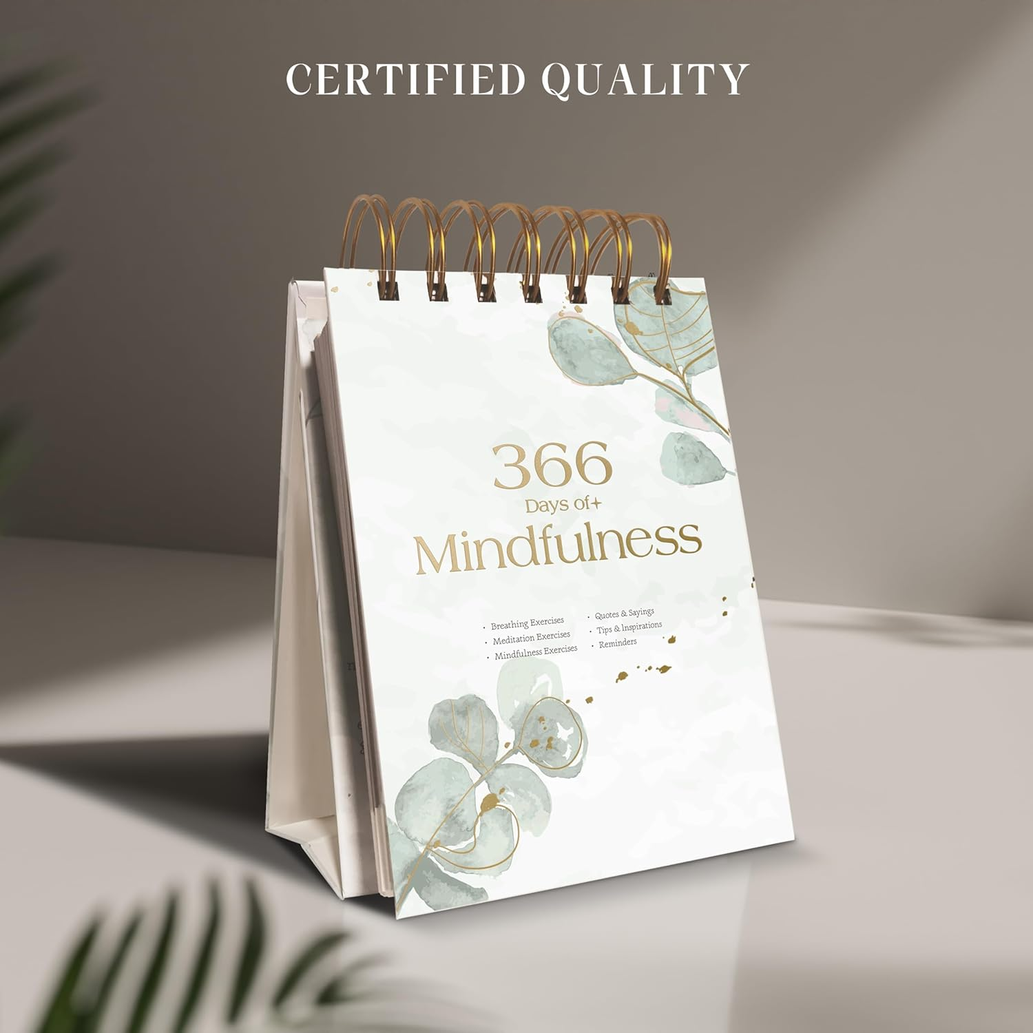 Undated Motivational 2026 Calendar for Women - Daily Inspirational Flip Desk Calendar with 366 Inspirational Quotes - Office Desk Decor for Women, Motivational Gifts image number 2