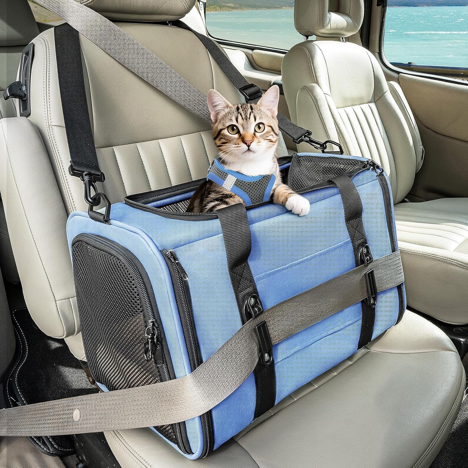 Petsfit Cat Dog Transport Box Car Cat Transport Box Dog - Foldable Carry Bag with 2 Patent Buckles for Car Seat, 4-Sided Mesh & Removable Cushion, M/Blue image number 5