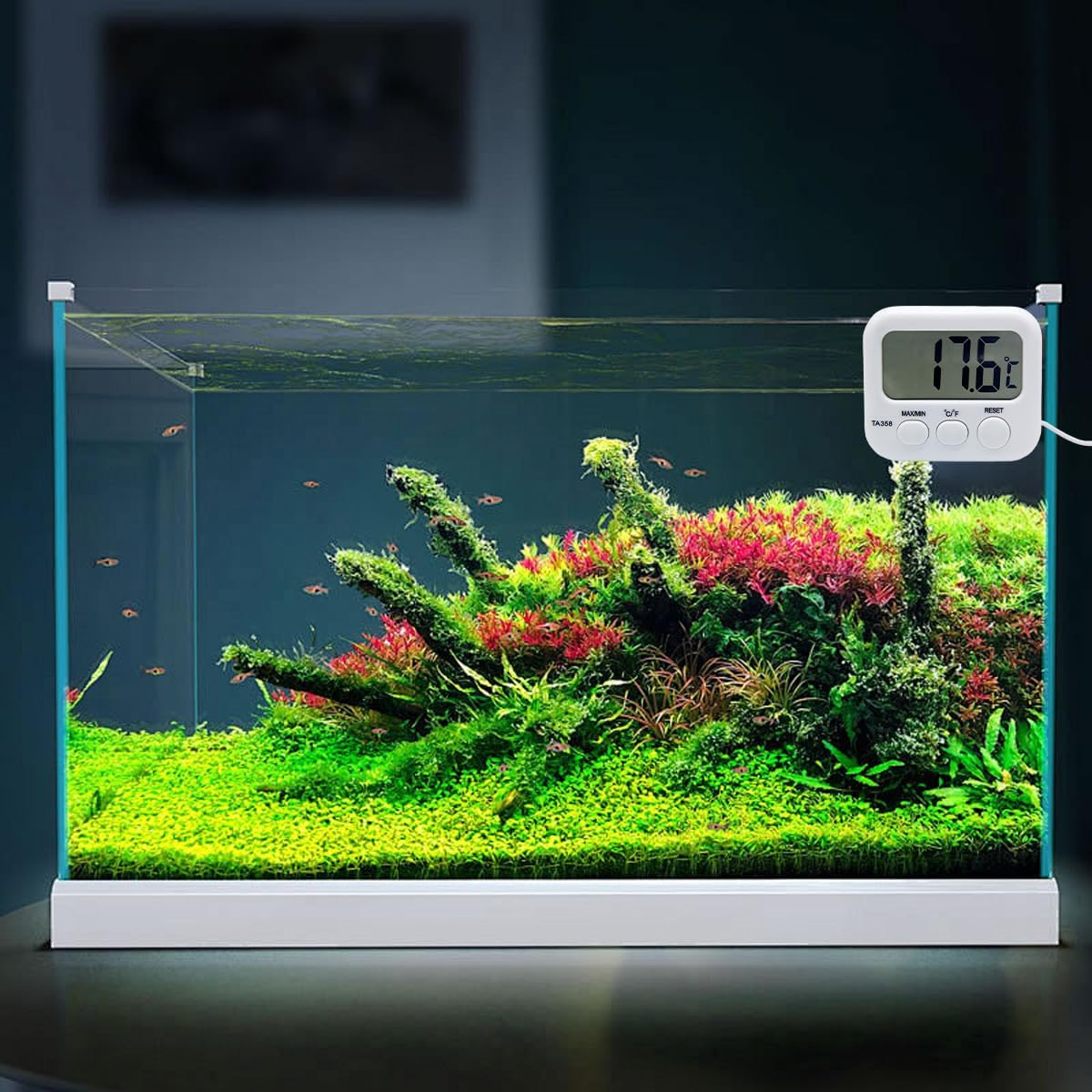 AIMALL TA358A Electronic Digital Thermometer for Refrigerators, Fish Tanks, and Aquariums with External Probe - Displays in Fahrenheit and Celsius image number 4