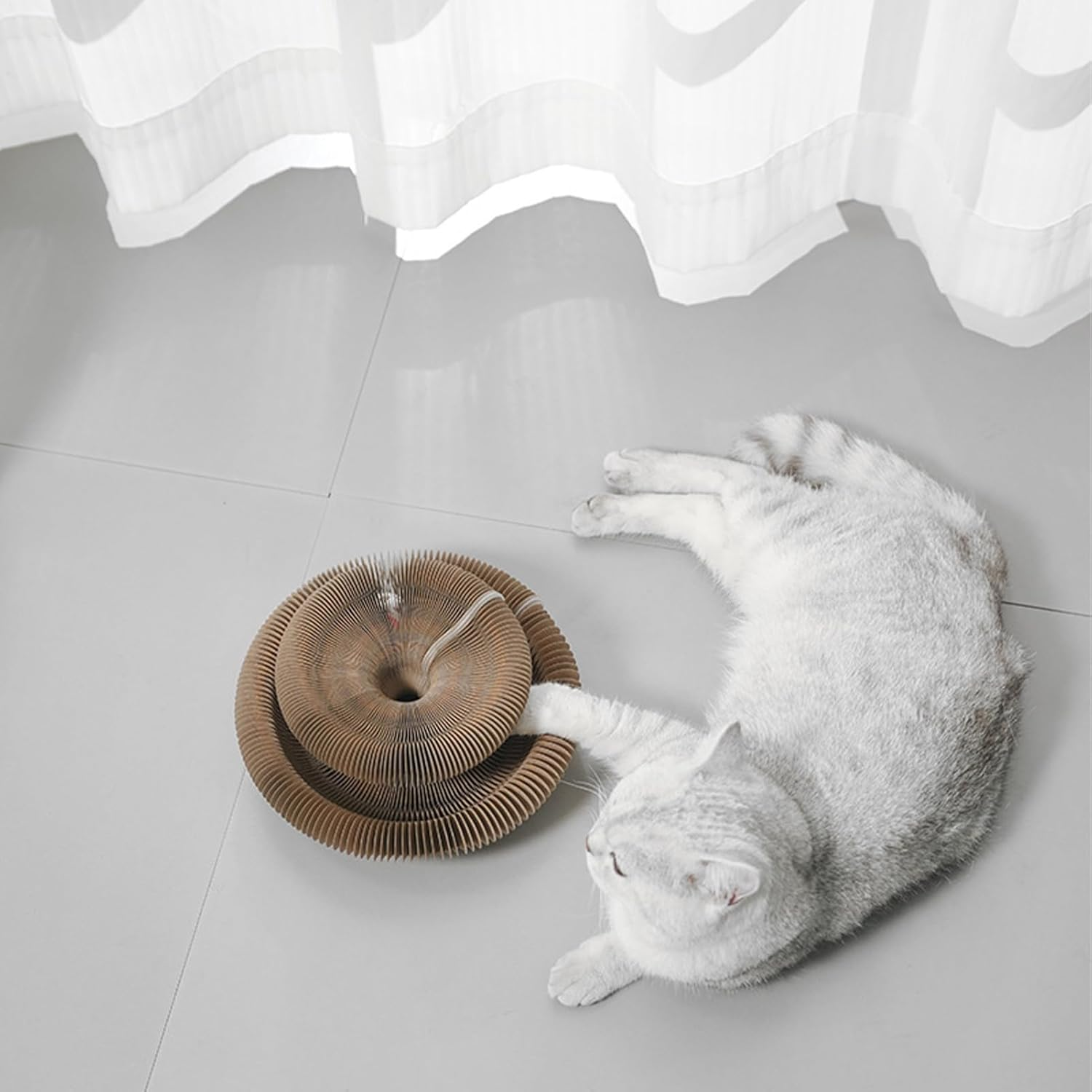 Cardboard Cat Scratcher | Interactive Pad with Ball - Foldable Magic Organ Scratching for Cats Mat - for Relaxation Pets Home Family House Kittens Floor Carpet Sofa Ground Bed image number 5