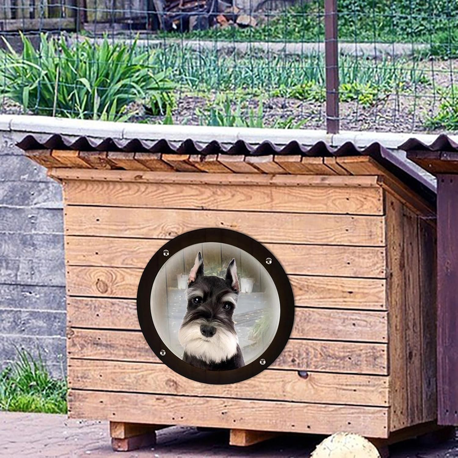 Dog Fence Window - Clear Dome Peek Bubble, Safe Acrylic round Pet Window with Wide View Design, Easy-To-Install Fence Dome for Dogs and Cats | Ideal for Backyard Fences, Kennels, and Play Areas image number 6