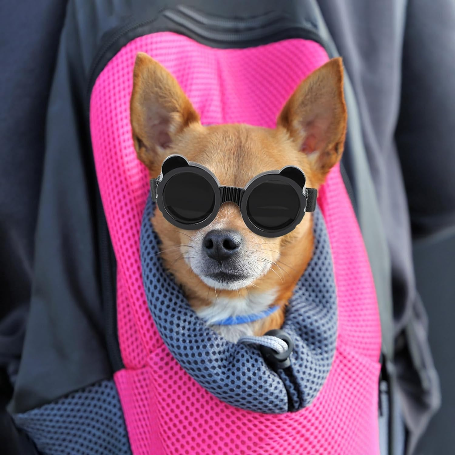 Enjoying Dog Sunglasses Small Breed, UV Protection Goggles for Dogs Small Breed, Outdoor Doggy Goggles, Anti-Fog/Wind/Dustproof Dog Glasses for Small Dogs Eye Protective, Panda Black - Grey image number 2