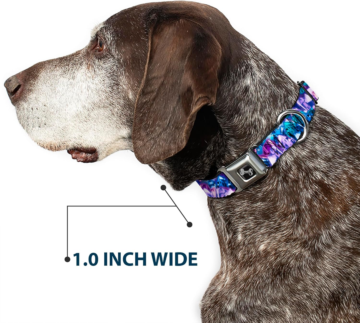 Buckle-Down 9-15" Crystals2 Blues/Purples Dog Collar Bone, Small image number 3
