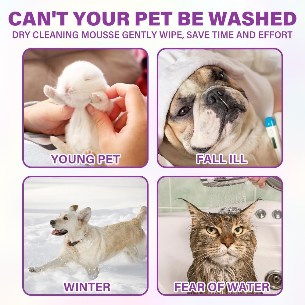 Waterless Pet Dry Shampoo with Lavender Fragrance, No-Rinse Foam Cleanser for Dogs and Cats, 100Ml