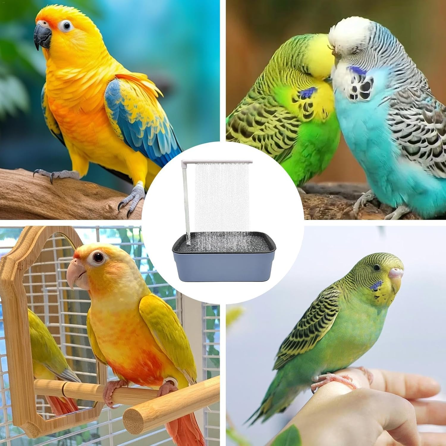 Generic Parrot Automatic Bathtub - Bird Shower Bathing Tub Toy | Pet Circulating Water Bath | Blue Rectangular ABS Bathtub for Parakeet, Cockatiel and African Grey image number 1