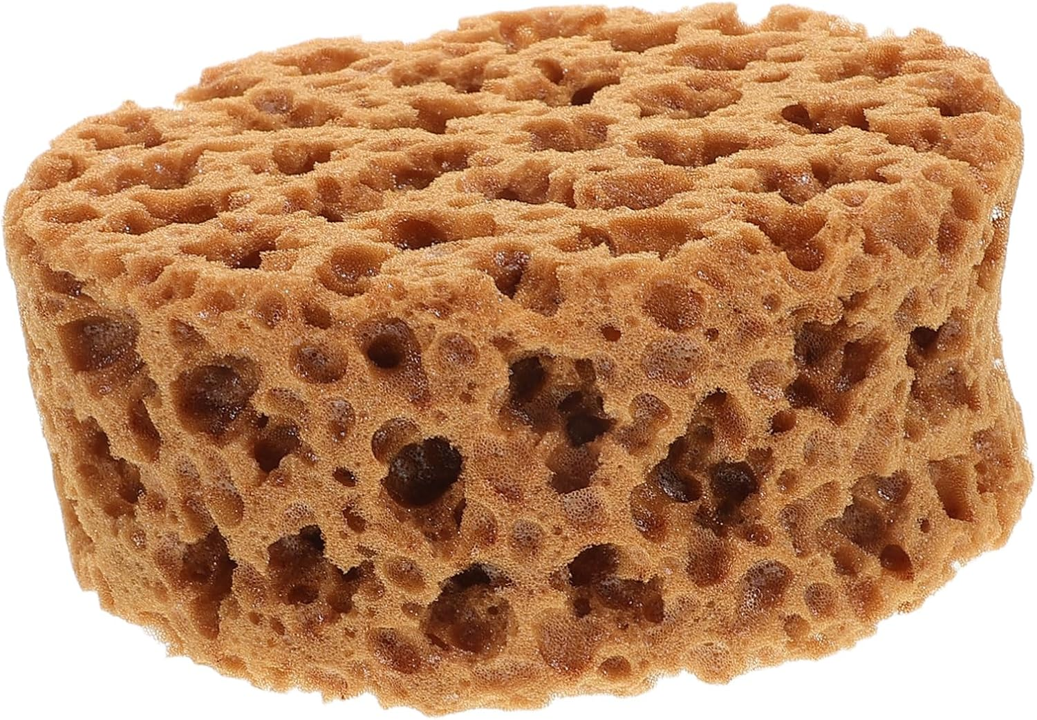 Stencil and Artist Paint Sponge Brush for Decorative Wall and Furniture Painting, Small Seaweed Foam Craft Tool for Fine Art and Diy Craft Painting