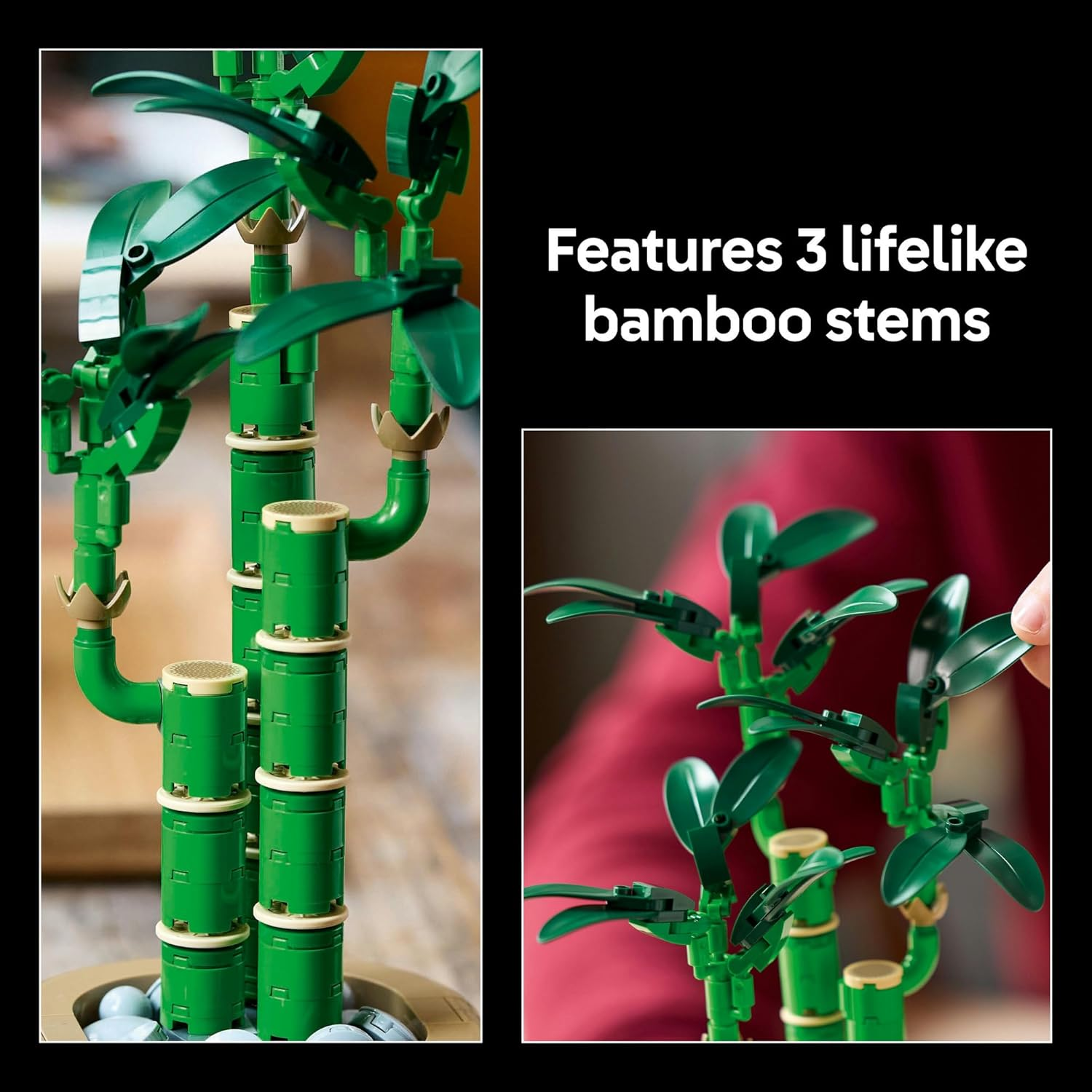 LEGO Botanicals Lucky Bamboo Indoor Artificial Plant Set, Craft Kit for Adults Includes a Buildable Pot for Office or Home Decor, Building Set for Women & Men 10344 image number 5