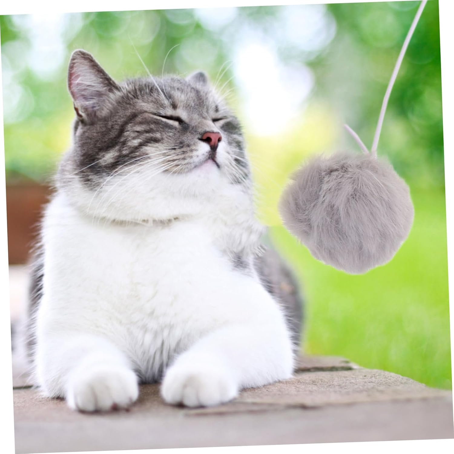 INOOMP 6Pcs Interactive Cat Toy Balls Plush Pom Pom with Elastic Rope for Indoor Cats Kitten Training and Scratching Pet Supply