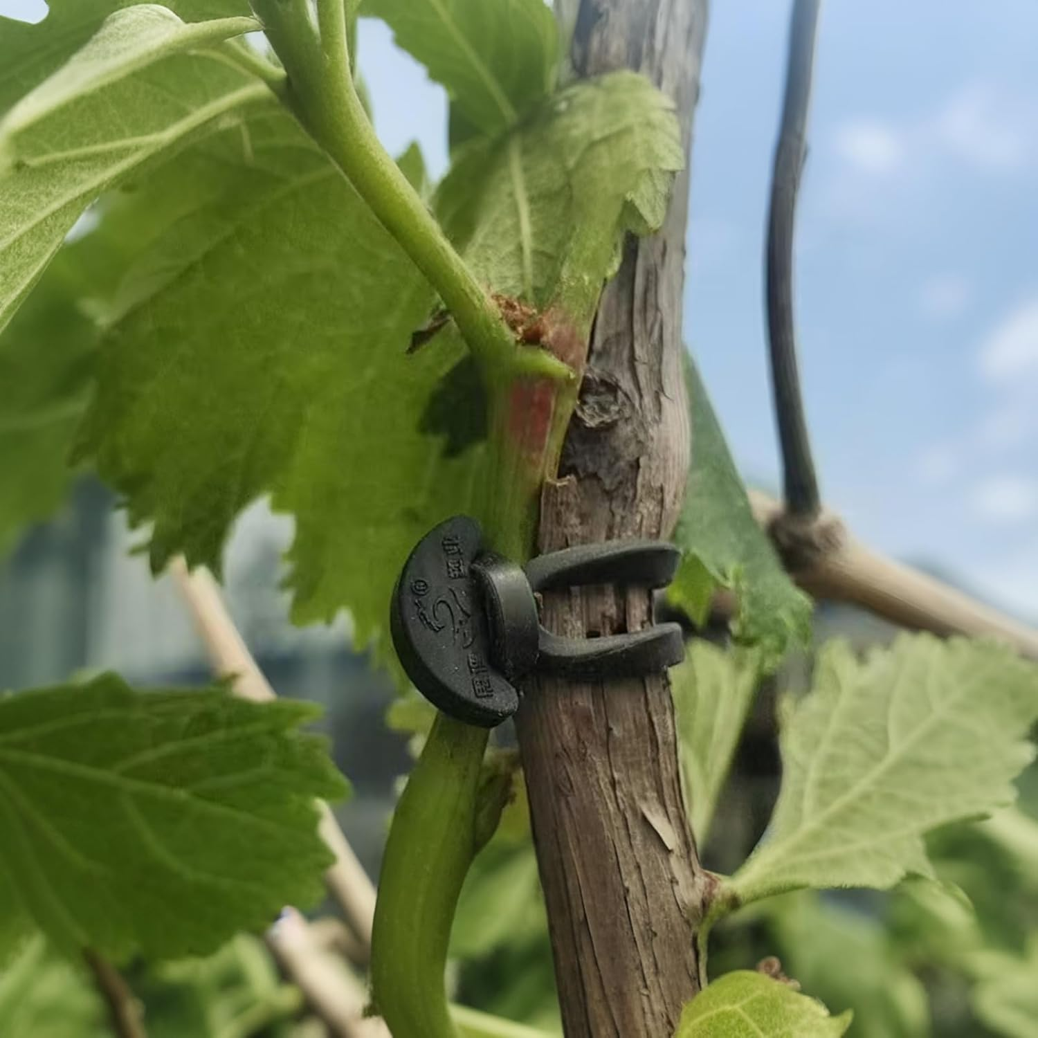 Garden Plant Ties, 50 Pack Soft Rubber Tree Support Clips, Black Reusable Stakes Trellis Fasteners image number 2