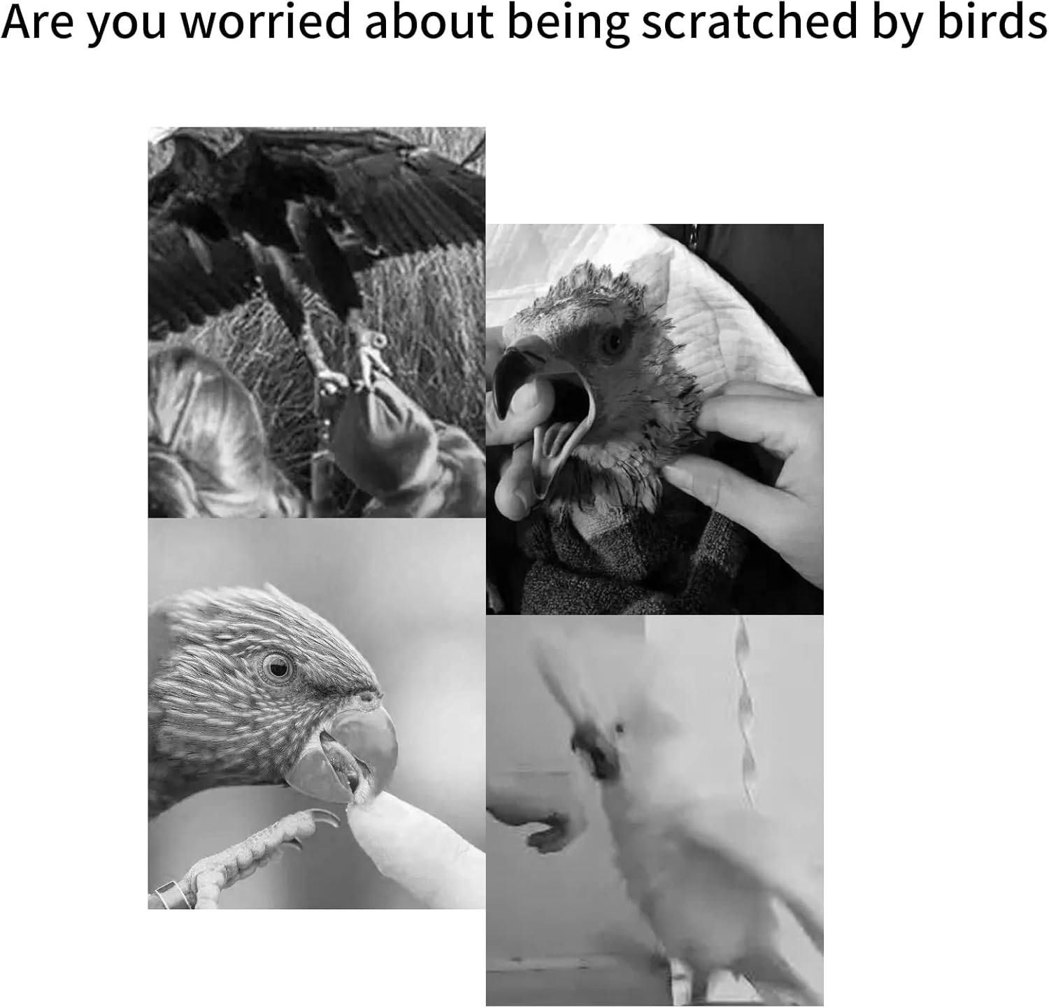 Parrot Training Shoulder Cape, Parrot anti Scratch Shoulder Protector, Parrots Bird Poop Clothing Protector Stand anti Scratch Anklet Pet Shoulder Pad Diaper Shawl for Small Large Birds image number 1