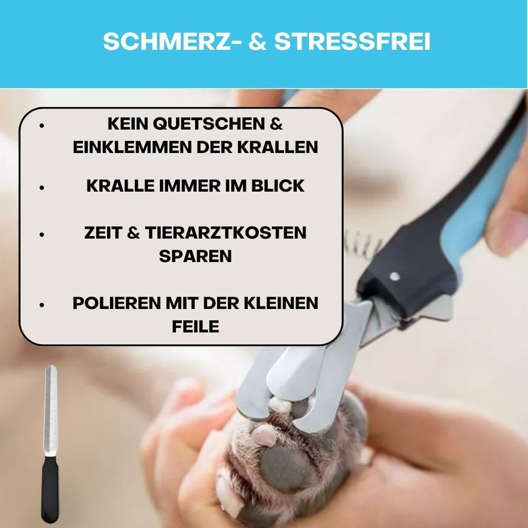 CUEMOON Professional Nail Scissors for Dogs and Cats with Nail File, Stainless Steel Claw Clippers, High Quality Claw Care Cutter for Large and Medium Dogs and Cats in Animal Salon