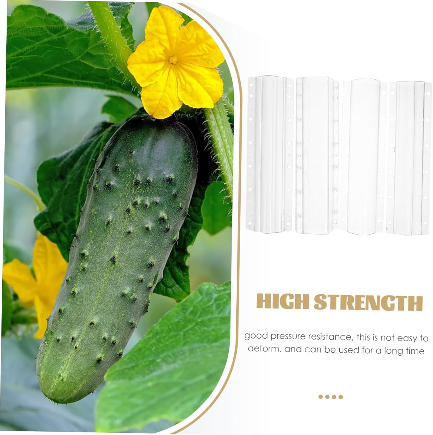 BESPORTBLE 4Pcs Reusable Vegetable Shaping Molds Fruit Growing Molds Melon Ginseng Fruit DIY Gardening Tools for Boys and Girls Adults image number 4