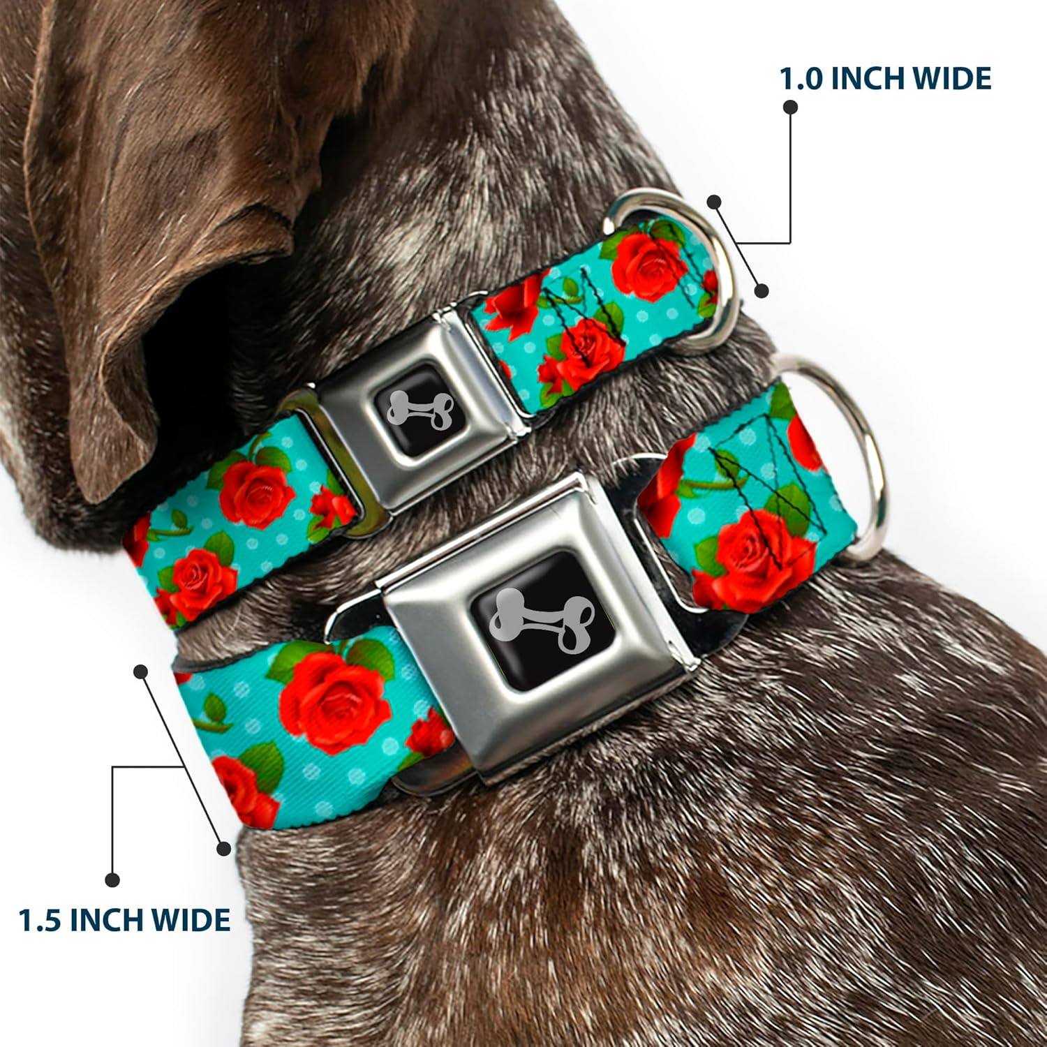 Buckle-Down Seatbelt Buckle Dog Collar - Red Roses/Polka Dots Turquoise - 1" Wide - Fits 11-17" Neck - Medium image number 3