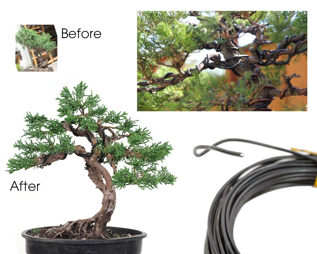 DS. DISTINCTIVE STYLE Aluminium Bonsai Wire 3 Pieces 10M Bonsai Training Tools Craft Aluminium Wire (1.0 Mm / 1.5 Mm / 2.0 Mm, 10M for Each Size) (Black)