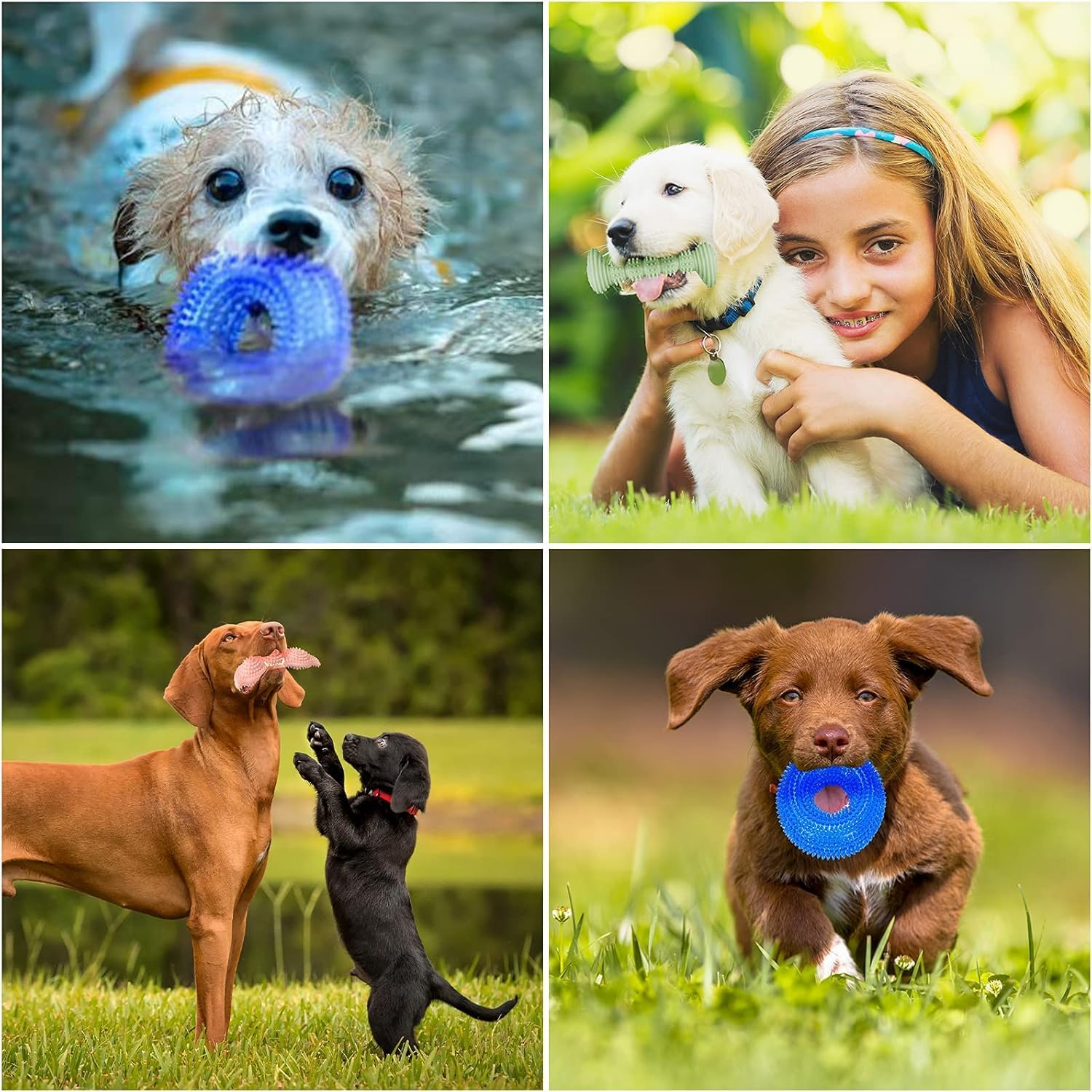 3 Pack Dog Chew Squeak Toys 2-8 Months Puppy Teething Toys Suitable for Small and Medium Dogs Soft and Durable Dog Chew Toys Clean Teeth and Protect Oral Health