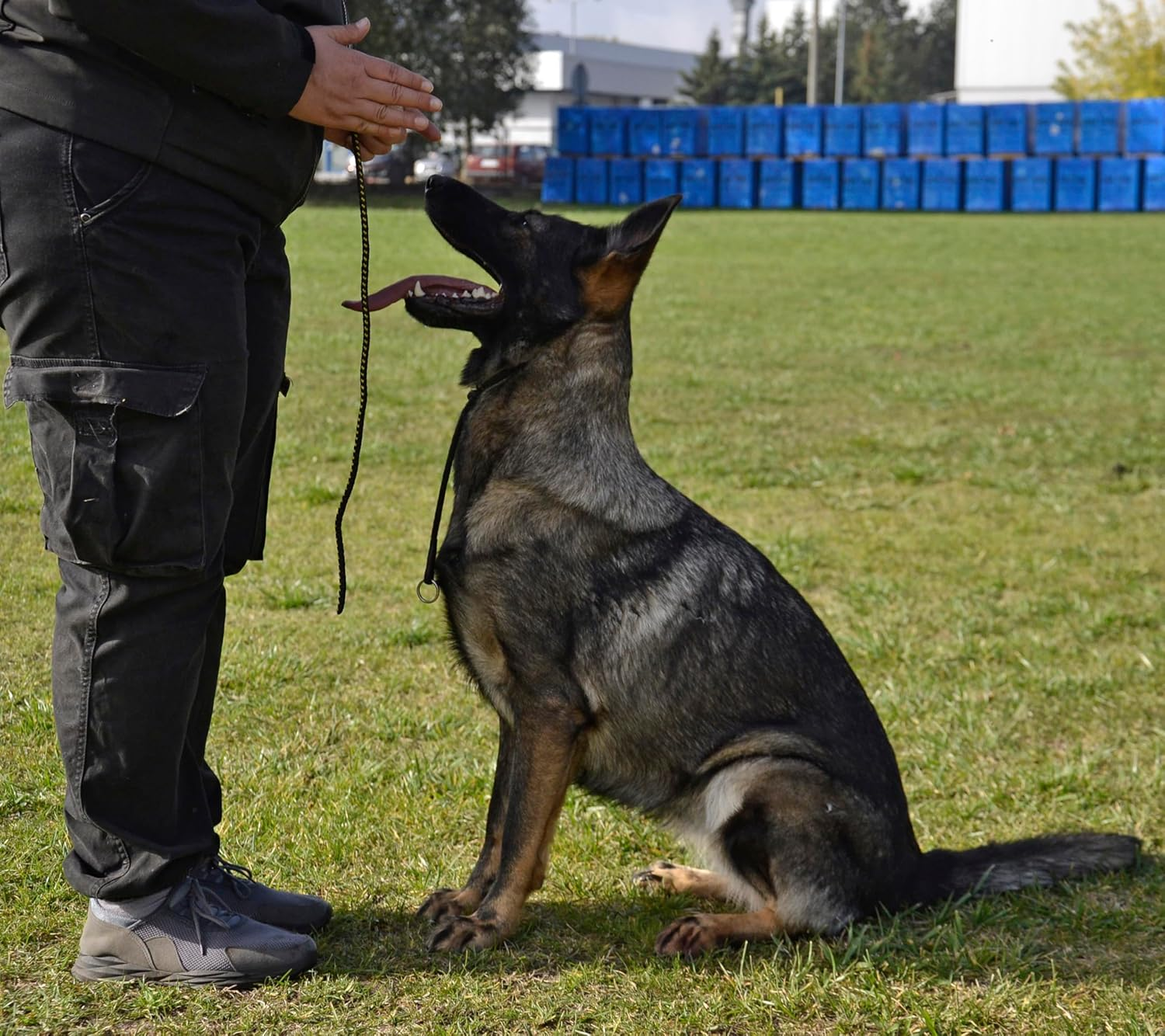 Dingo Gear Choke Collar for Dog Training Handmade of Cord with a Limiter, Waterproof Black S04062, XL image number 6