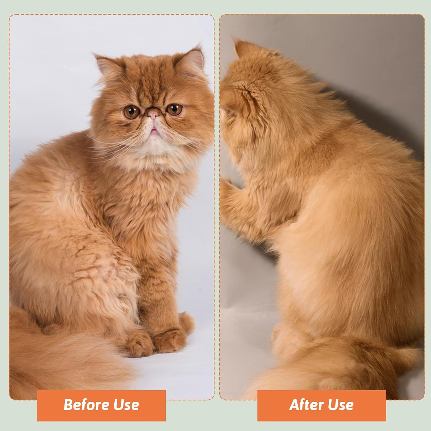 Cat Brush with Steam, Versatile Steam Brush Cat, Beauty Massage Steam Brush Dog, Spraying 3-In-1 Water Cat Brush, Pet Spray Massage Comb for Massage and Care (Latin Coffee Colour) image number 3