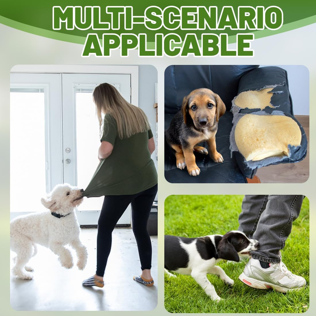 Tomedeks 1 Piece Dog Training Aid Effective Pet Training Equipment Outdoor Home