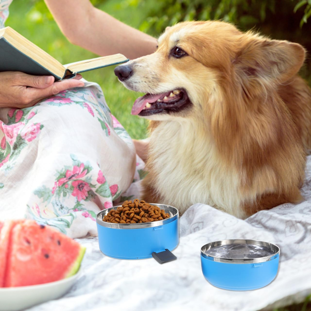 Sosoport Pet Bowl Portable Dog Bowls for on the Go Wall Feeding Bowls for Dogs Water Container Travel Dog Bowl with Lid Steel Cat and Dog Bowl Foldable Travel image number 4