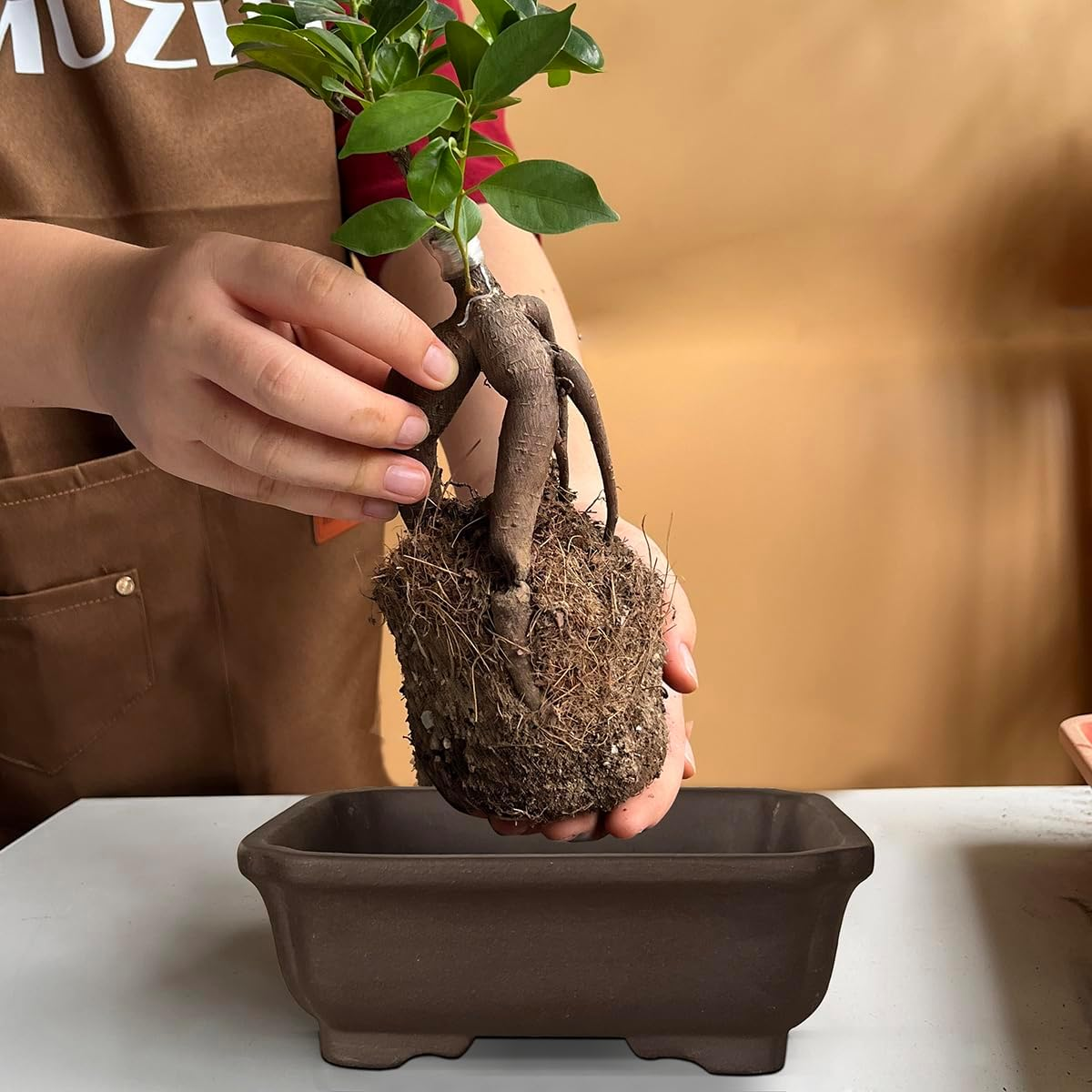 MUZHI 2PACK Unglazed 6&rdquo; Ceramic Bonsai Pot with Humidity Trays, Breathable Handmade Rectangle Bonsai Planter for Starter Bonsai Tree, Juniper,Ficus, Money Tree